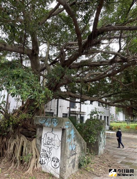 司法園區|華山司法園區開工動土：老樹移植復育、舊月台解構保。